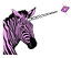 Safari Zebra