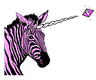 Safari Zebra